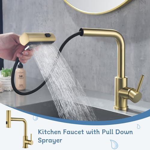 Brushed Gold Pull Out Bathroom Faucet