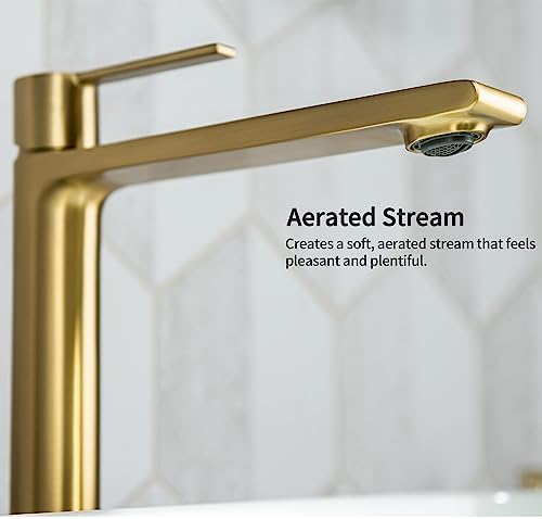 Casta Diva Tall Faucet for Vessel Sinks Single Handle Rust-Resistant
