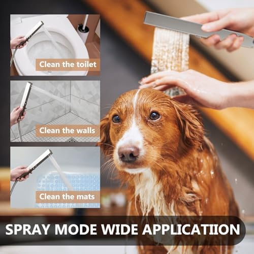 Wall-Mounted 2-in-1 Rain Shower Head Sprayer Set